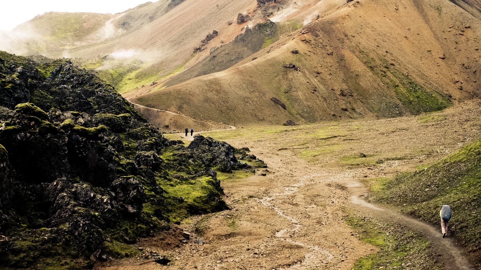 Landscape — 24